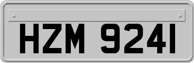 HZM9241