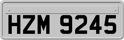HZM9245