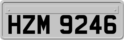 HZM9246