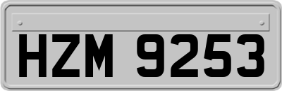 HZM9253