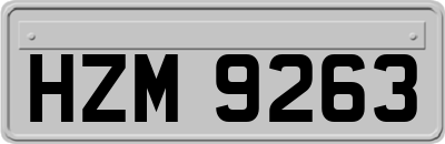 HZM9263