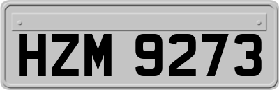 HZM9273