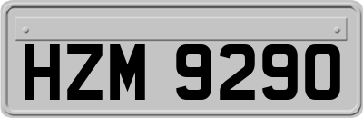 HZM9290