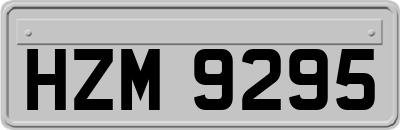 HZM9295