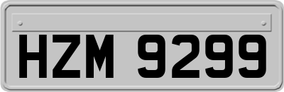 HZM9299