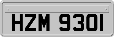 HZM9301