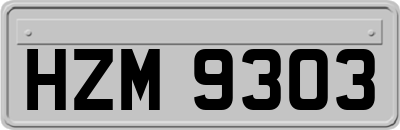 HZM9303