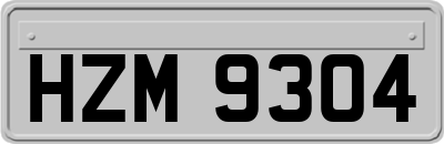 HZM9304