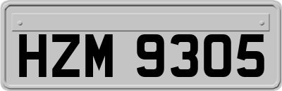 HZM9305