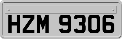 HZM9306