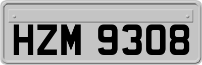 HZM9308