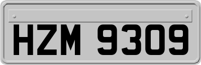 HZM9309