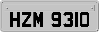 HZM9310