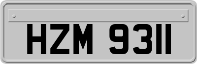 HZM9311