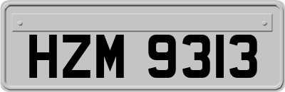 HZM9313