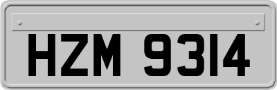 HZM9314