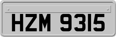 HZM9315