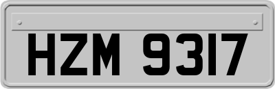 HZM9317