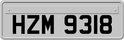 HZM9318
