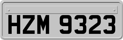 HZM9323