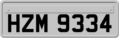 HZM9334