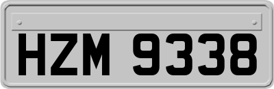 HZM9338