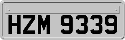 HZM9339