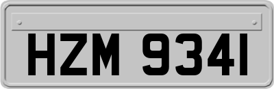 HZM9341