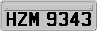 HZM9343