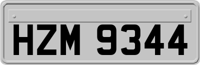 HZM9344