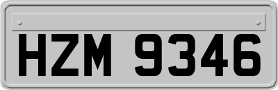 HZM9346