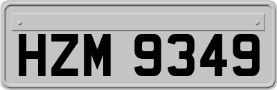 HZM9349
