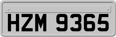 HZM9365