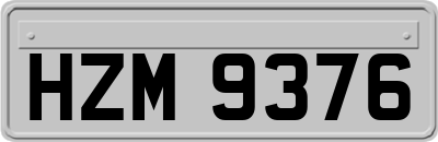 HZM9376