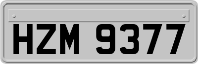 HZM9377