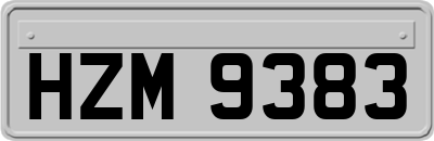 HZM9383