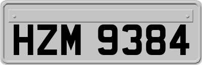 HZM9384