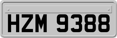 HZM9388
