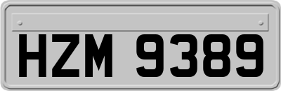 HZM9389