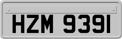 HZM9391