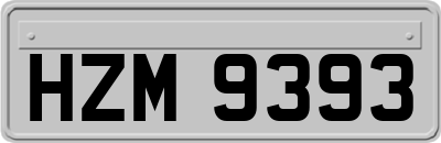 HZM9393