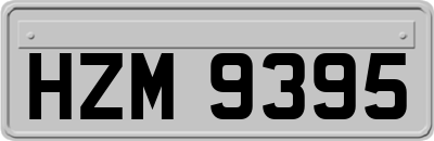 HZM9395