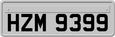 HZM9399