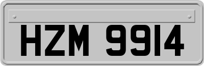 HZM9914