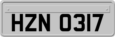 HZN0317