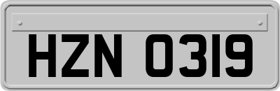 HZN0319
