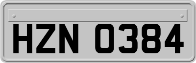 HZN0384