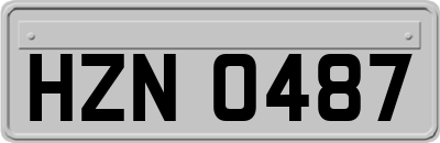HZN0487