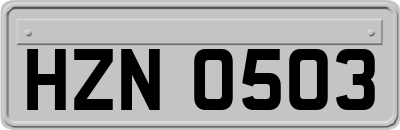 HZN0503