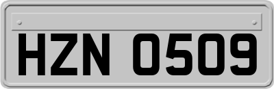 HZN0509